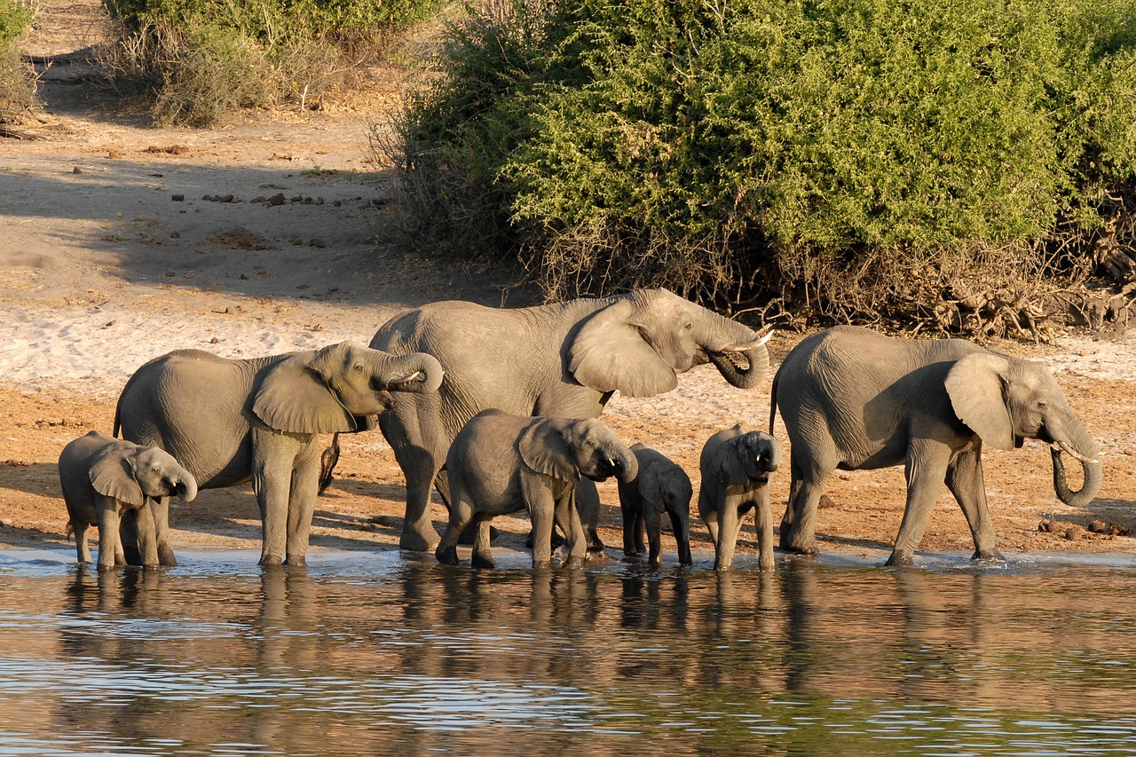 Botswana 3