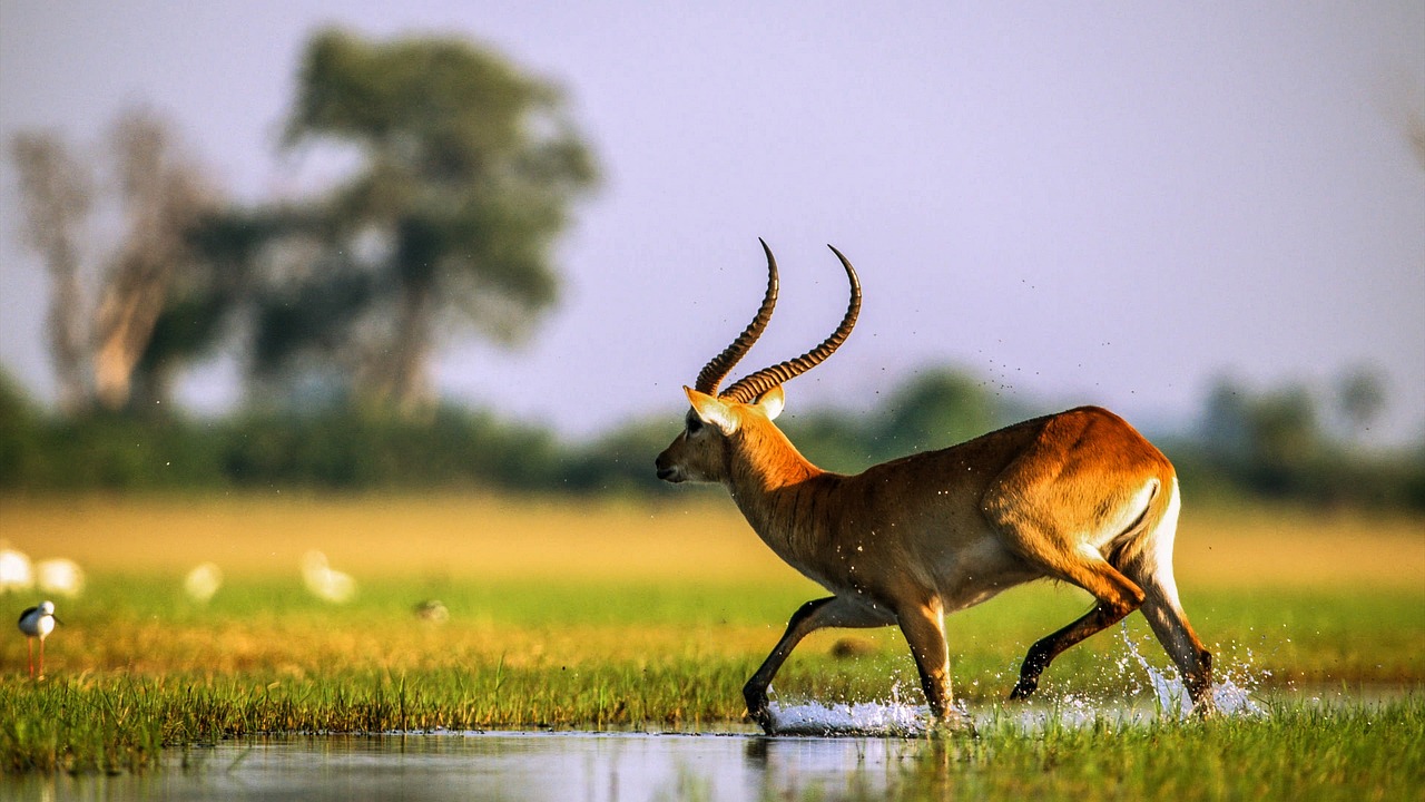 Namibia Destination