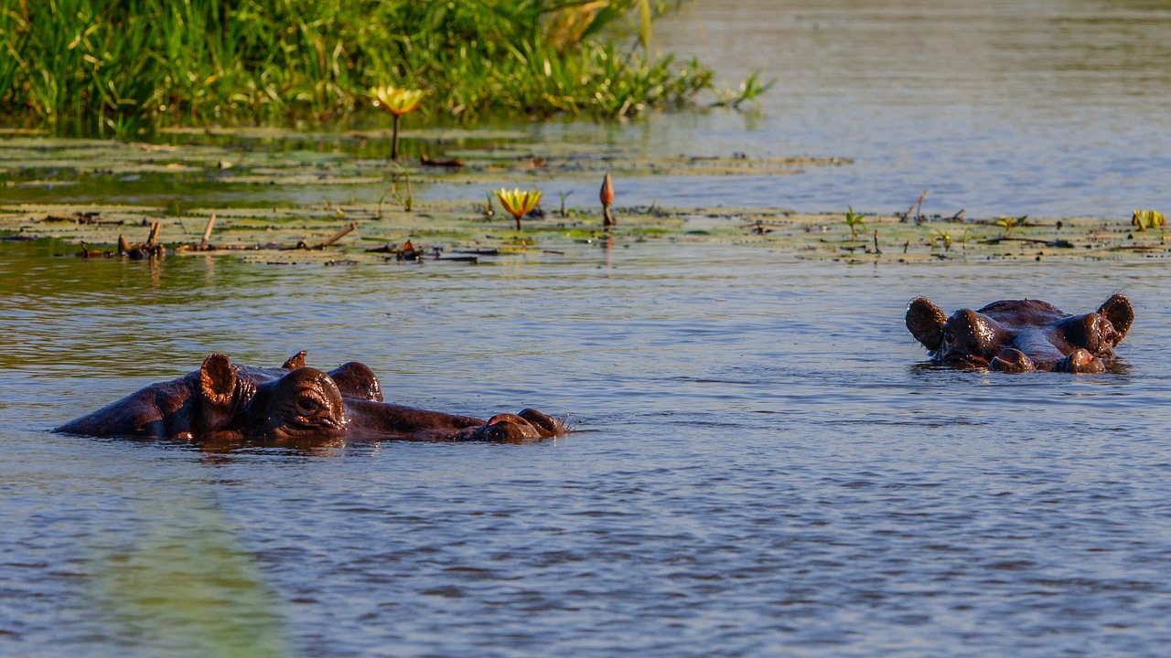 Botswana Destination