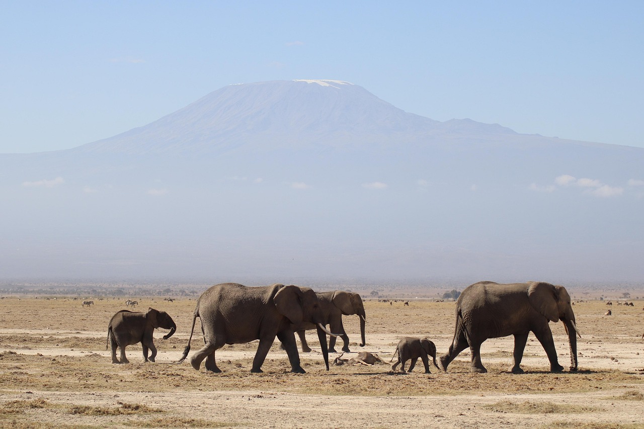Tanzania 1