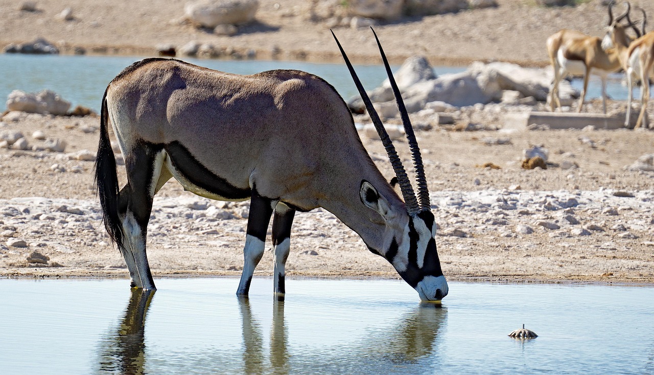 Namibia 3