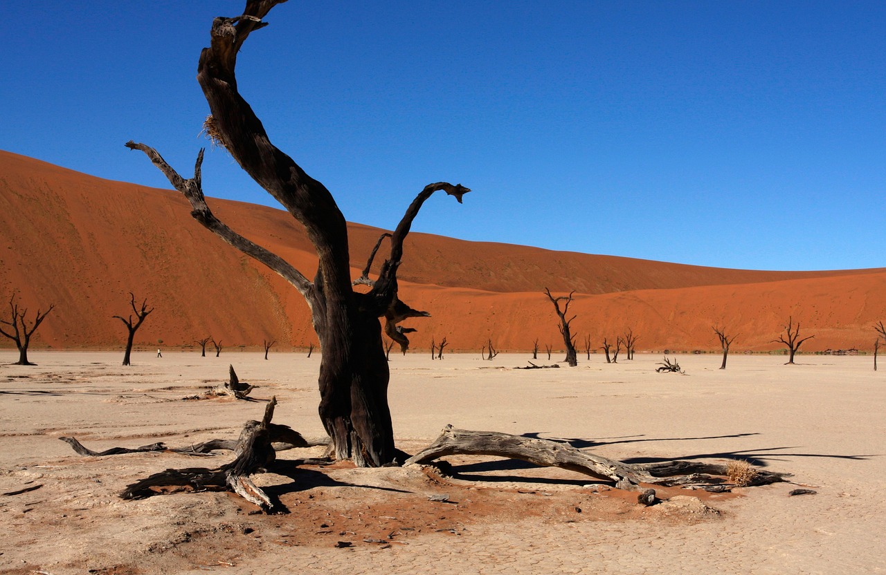 Namibia 1